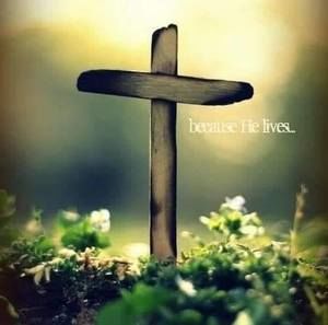 Meet your Posher, Malinda